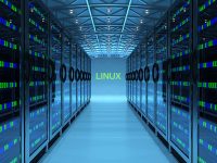 Linux Server Management